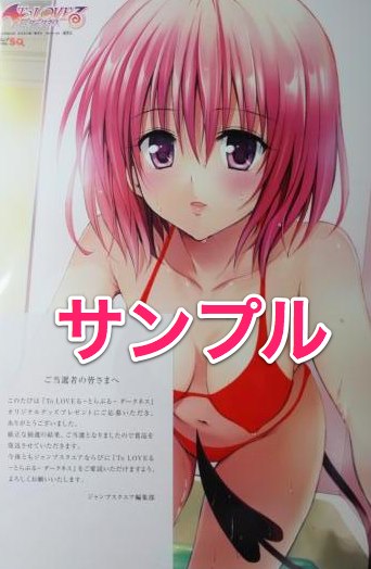 期間限定価格　非売品　To LOVEるジャンプSQ 懸賞品　モモ　お風呂ポスター