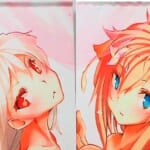 アルノサージュPLUS＆シェルノサージュOFFLIN ソフマップ特典 B2タペストリー セット