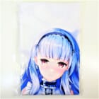 REI（REI’s ROOM） 俺の嫁！参弐 アズールレーン ダイドー 抱き枕カバーを買取いたしました！