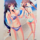 ハピメア タペストリー高価買取！