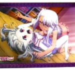 【買取】Fate/kaleid liner プリズマ☆イリヤ 2wei! ソフマップ全巻連動購入特典 B3タペストリー