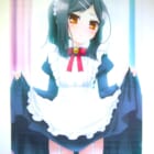 【買取】Fate/kaleid liner プリズマ☆イリヤ WonderGOO購入特典 美遊・エーデルフェルト 描き下ろしB2タペストリー
