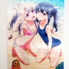 【買取】Fate/kaleid liner プリズマ☆イリヤ 雪下の誓い グッズセット イリヤ＆美遊 B2タペストリー 単品