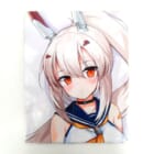 アズールレーン/Azurlane 1st Anniversary 綾波 抱き枕カバーを高価買取！