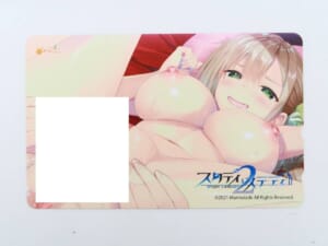 スタディ§ステディ2 ブックメイトオリジナル特典 三島星彩 オリジナルテレカ