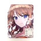 ドルフィンウェーブ 住乃絵紫苑 抱き枕カバーを買取しました！