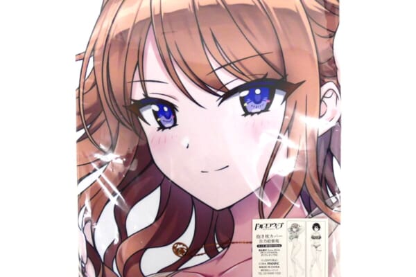 ドルフィンウェーブ 住乃絵紫苑 抱き枕カバーを買取しました！