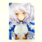 【買取実績】境界線上のホライゾン ネイト・ミトツダイラ 抱き枕カバーをお売りいただきました！
