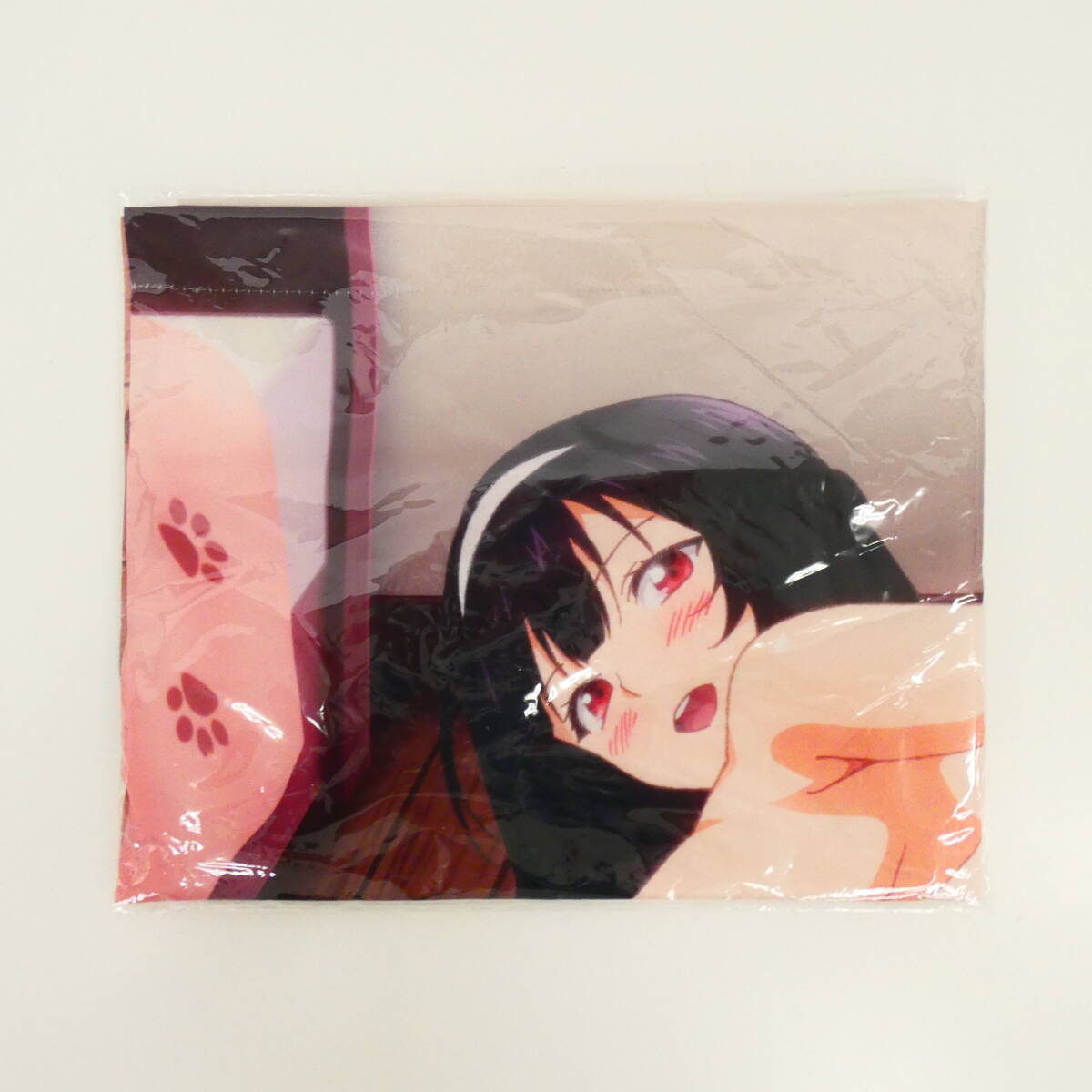 犬になったら好きな人に拾われた。 Blu-ray 初回生産限定版 とらのあな上下巻購入特典 描き下ろしB2タペストリー