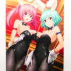 うみねこのなく頃に咲 トレーダー特典 シエスタ45&シエスタ410 B2タペストリーをお買取りいたしました!