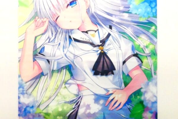 PS4 Summer Pockets REFLECTION BLUE WonderGOO特典 鳴瀬しろは B2タペストリーをお買取りいたしました！