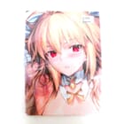 GH.K（光崎）C102 アルクェイド・ブリュンスタッド 抱き枕カバーをお買取りいたしました！