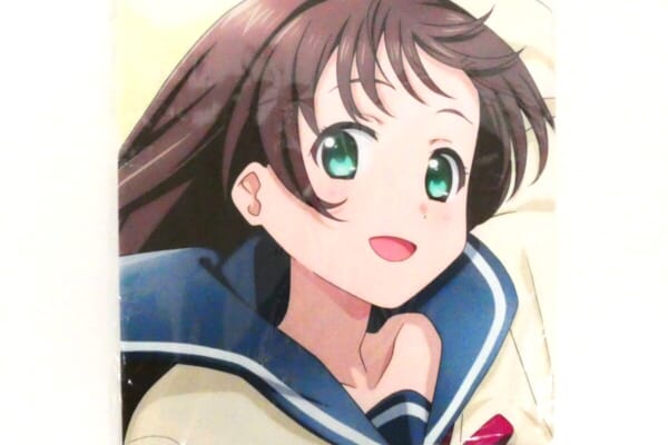 【Extreme Hearts】RISEのプライベートタイム抱き枕カバー〈前原純華〉をお買取りしました！