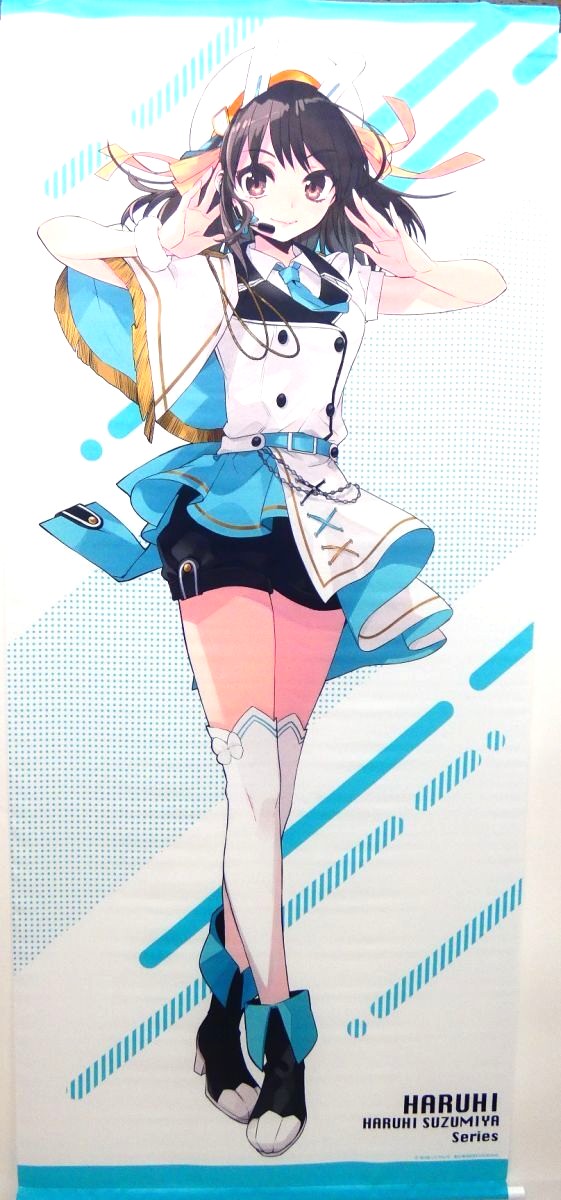 角川スニーカー文庫創刊35周年記念 描き下ろし等身大タペストリー『涼宮ハルヒシリーズ』涼宮 ハルヒ