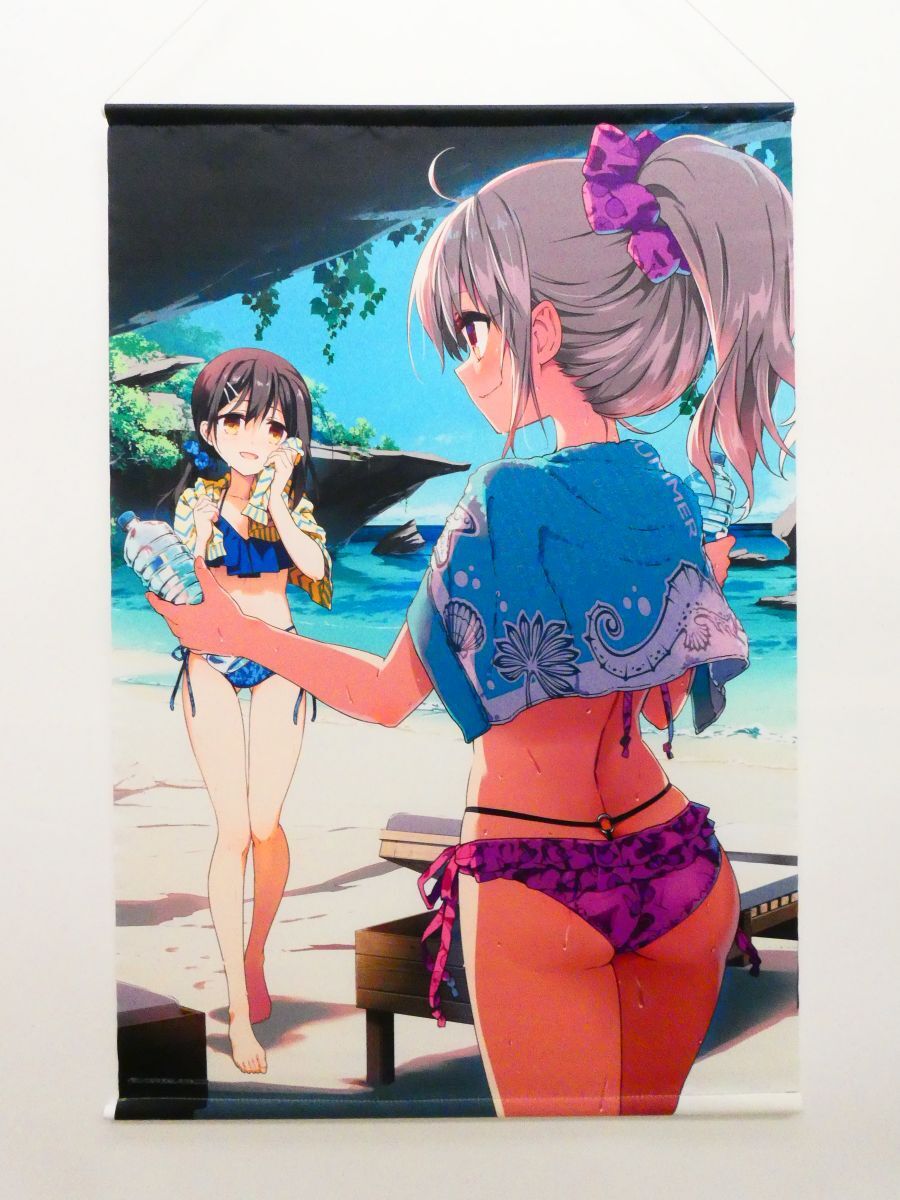 「Fate/kaleid liner プリズマ☆イリヤ drei!!」ひろやまひろしイラスト A1タペストリー