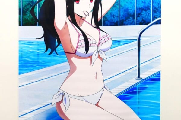 【買取実績】ソフマップ・アニメガ全巻購入特典 魔法科高校の劣等生七草真由美 B2タペストリーを買取しました！