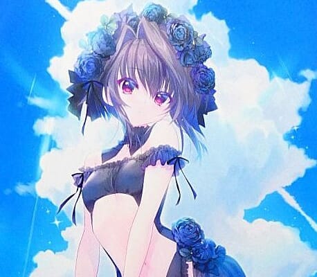 翡翠亭(和泉つばす) C106 結城希亜 黒水着ver.ほぼ等身大タペストリーを買取しました！